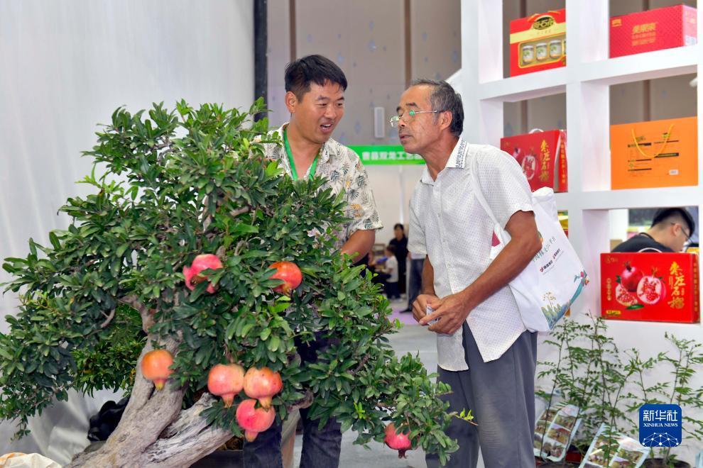 新濠天地赌场排名